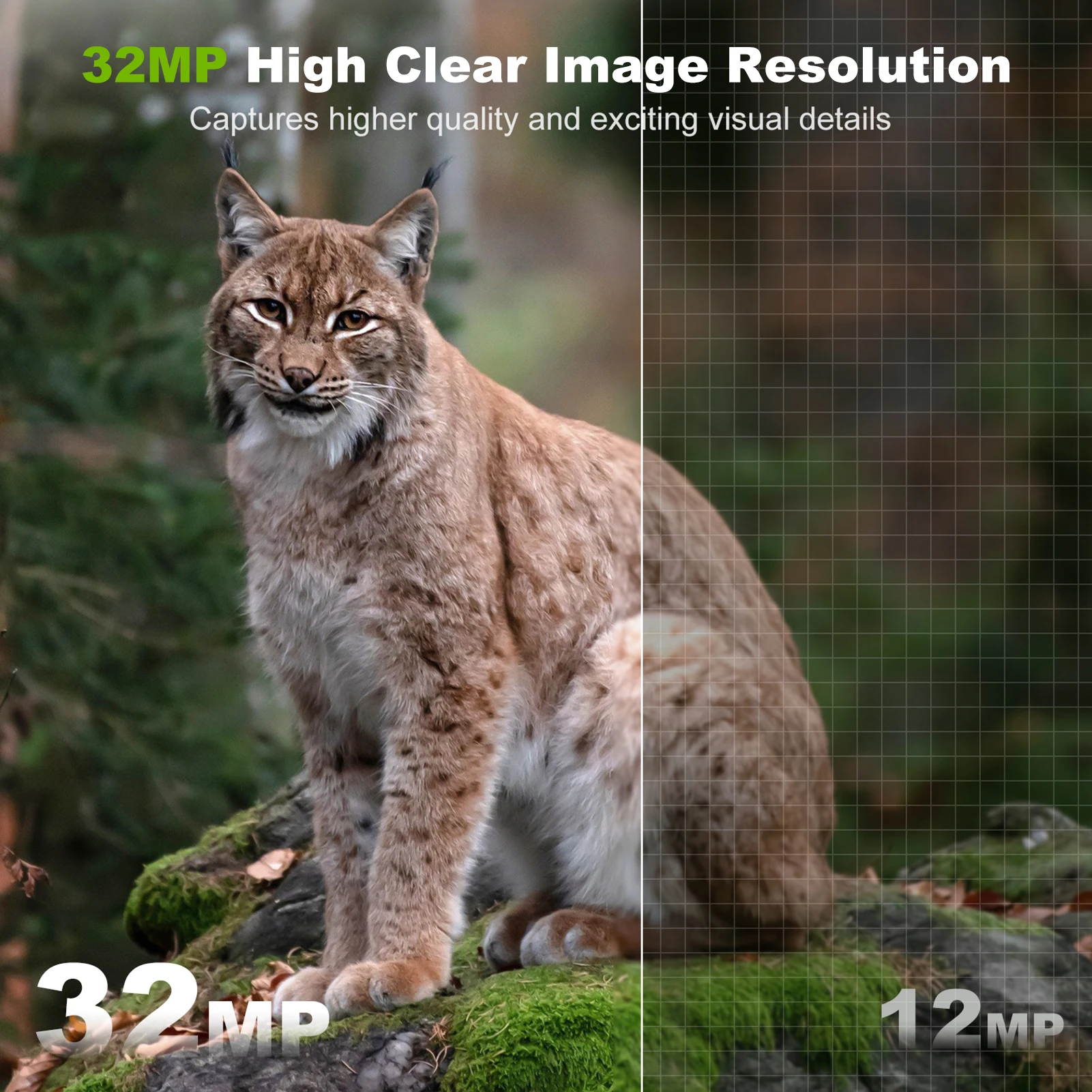 Solar Camera Outdoor Wireless  - đánh giá và giá Trail Camera Infrared